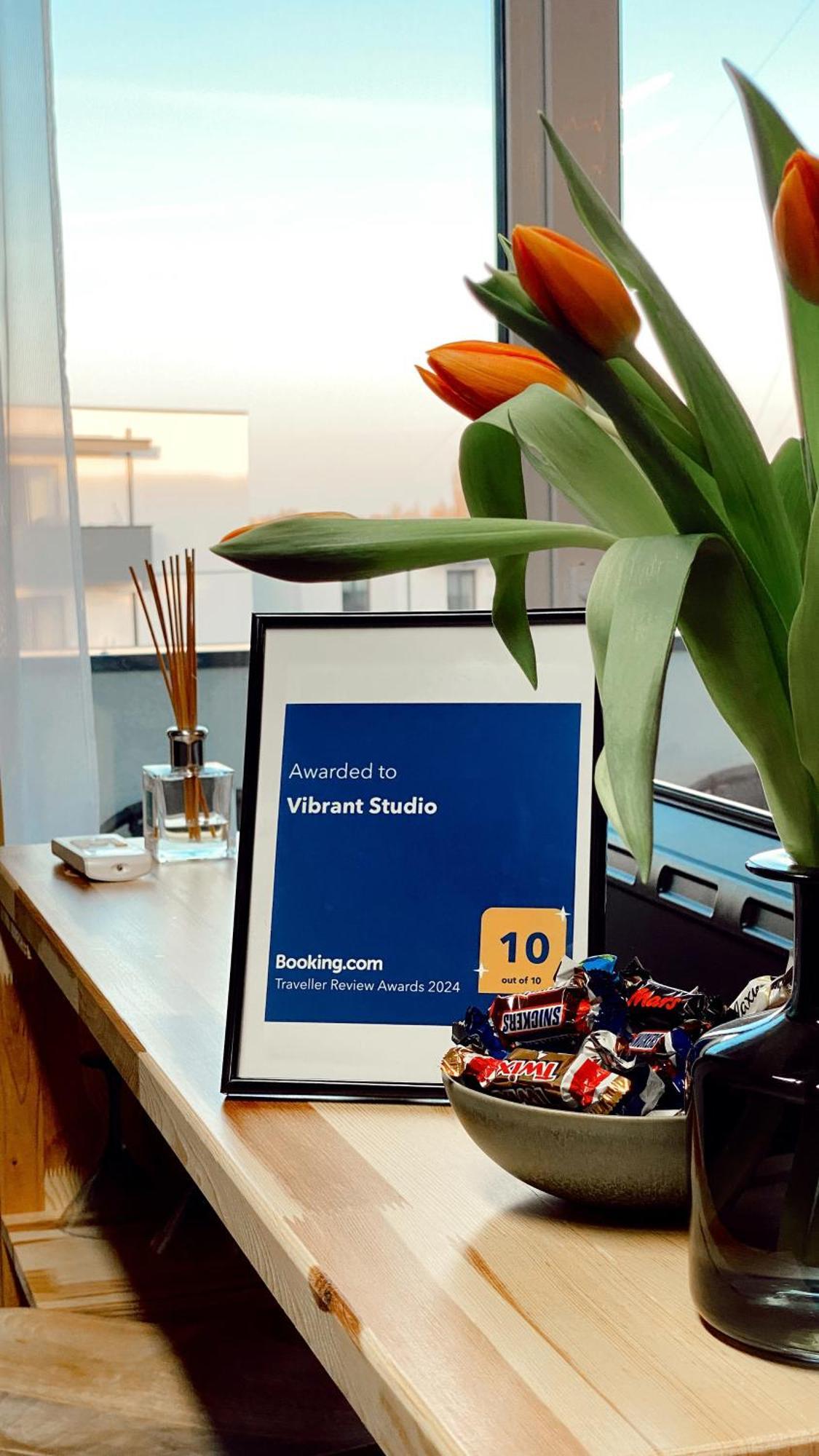 Vibrant Studio ティミショアラ エクステリア 写真